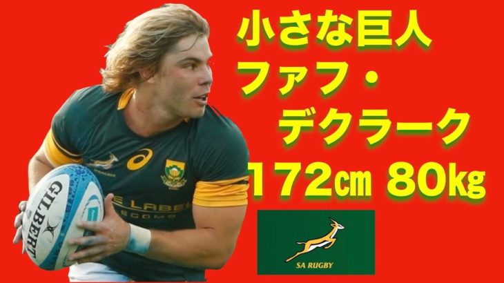ワールドラグビー年間優秀選手賞にもノミネートされた南アフリカの小さな巨人【ファフ・デクラーク】