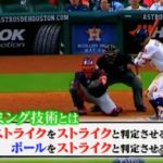 キャッチング技術を高められたからこそできる『フレーミング』の究極美。