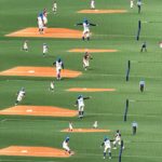 ナゴヤドーム開催の女子プロ野球観戦はサードコーチャーに大注目して応援してみました。