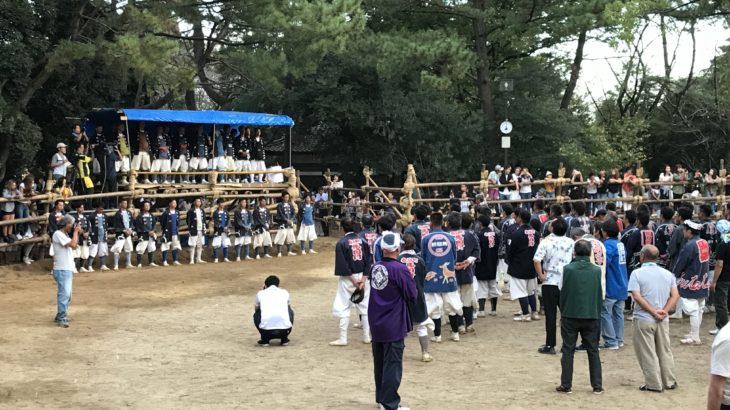 若い衆と馬との熱いバトル！日本の奇祭とも言われる地元のお祭り【おまんと祭り】
