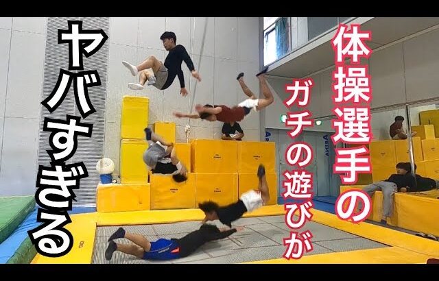 現役体操選手たちのトランポリンを使った本気の遊びが凄すぎてずっと見てられる