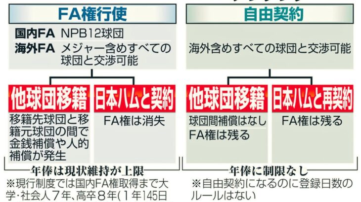 プロ野球界に新たな用語が出てきました。ノンテンダーってなんだ？